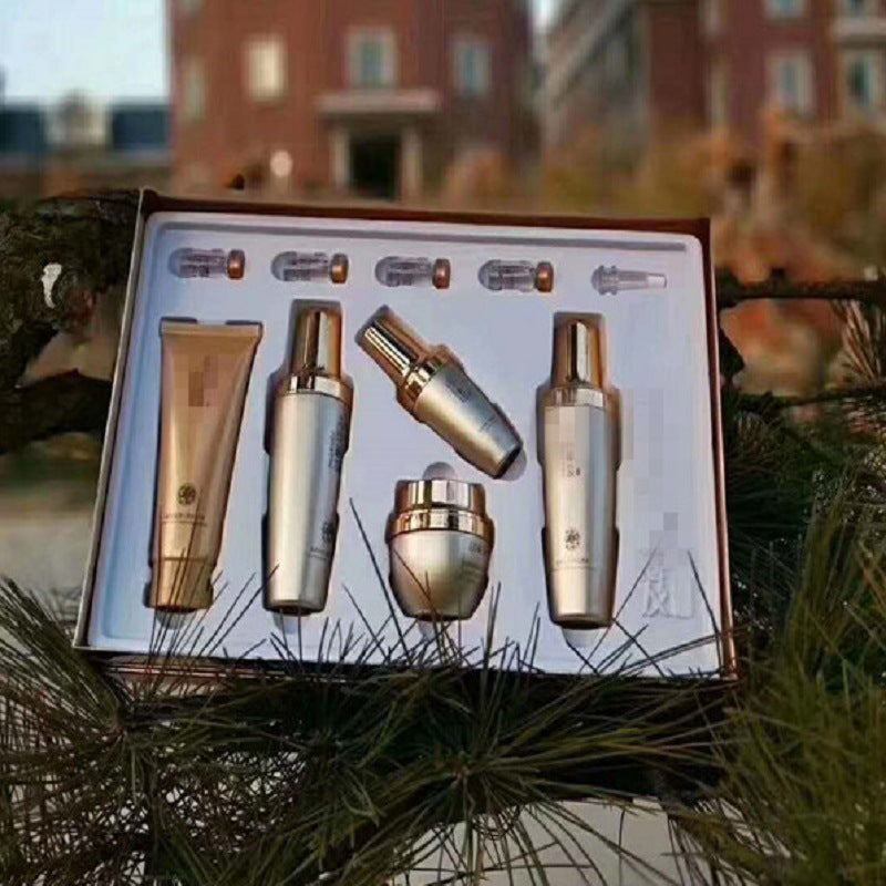 Luxury Gold Skincare Kit