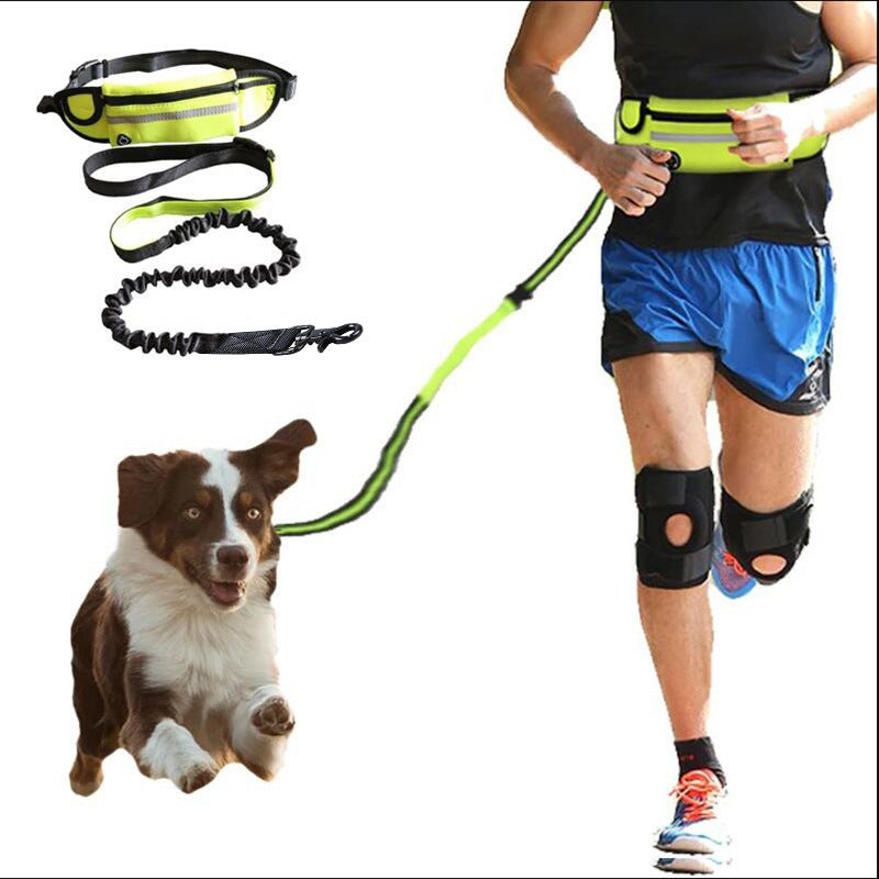 Pet Waist Bag