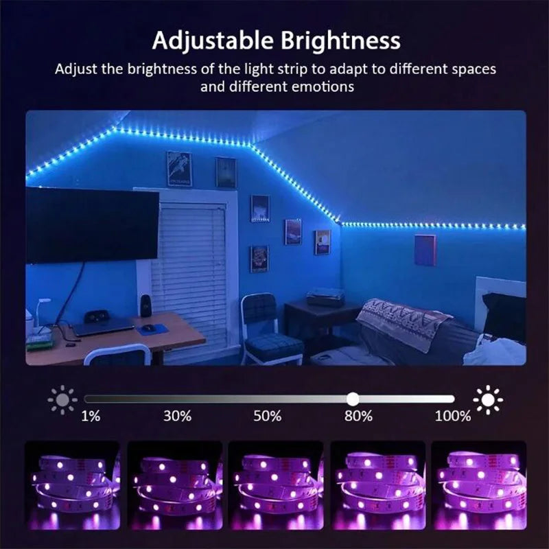 5050 RGB LED Strip Lights