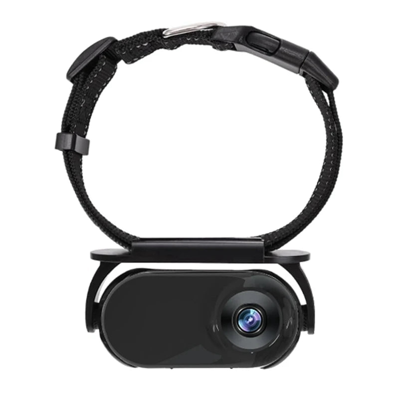 Pet Camera Collar
