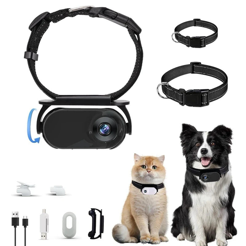Pet Camera Collar