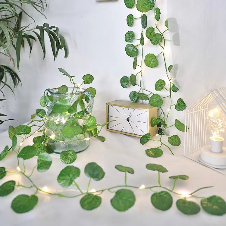 Ivy String Lights