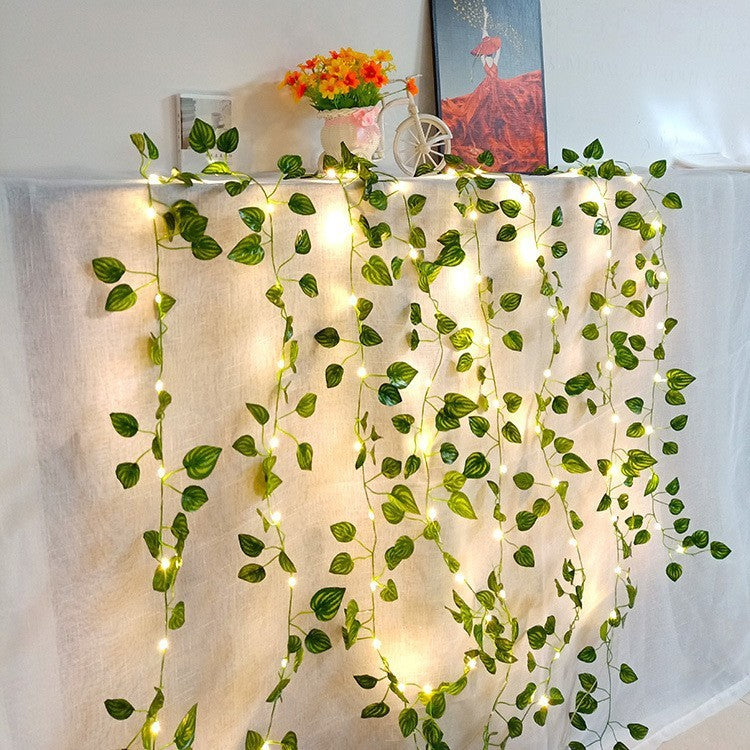 Ivy String Lights